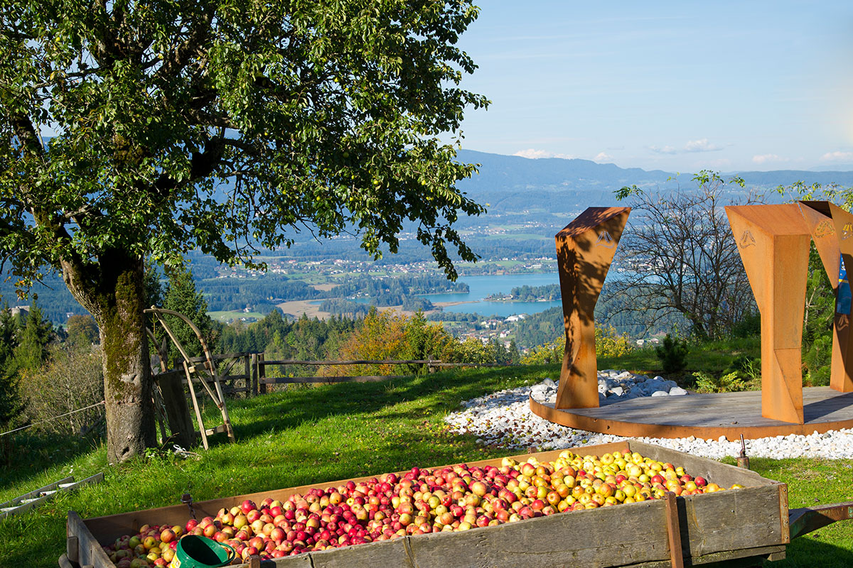 Apfelernte hoch über dem Faaker See. Grenzenlos wandern am Alpe-Adria-Trail