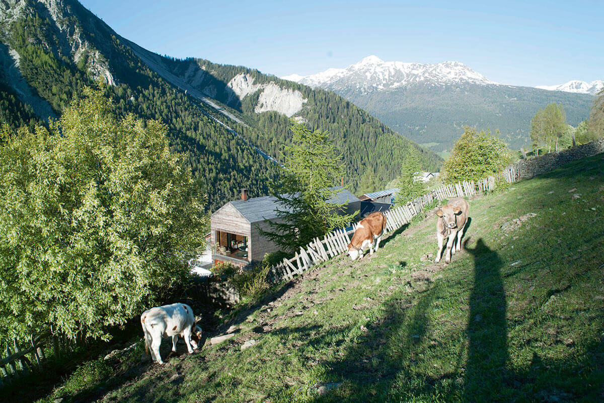 Othmar Prenner – Berg im Blick