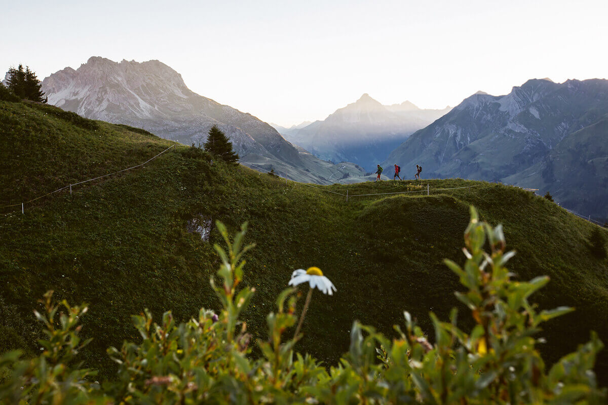 Warth-Schröcken – Alpines Wandern zu imposanten Felsriesen. Während der „Alpinen Wanderwochen“ von 8. Juli bis 7. Oktober 2017 können Gäste in Warth-Schröcken auf geführten Touren die schönsten Gipfel und Ziele der Region erwandern