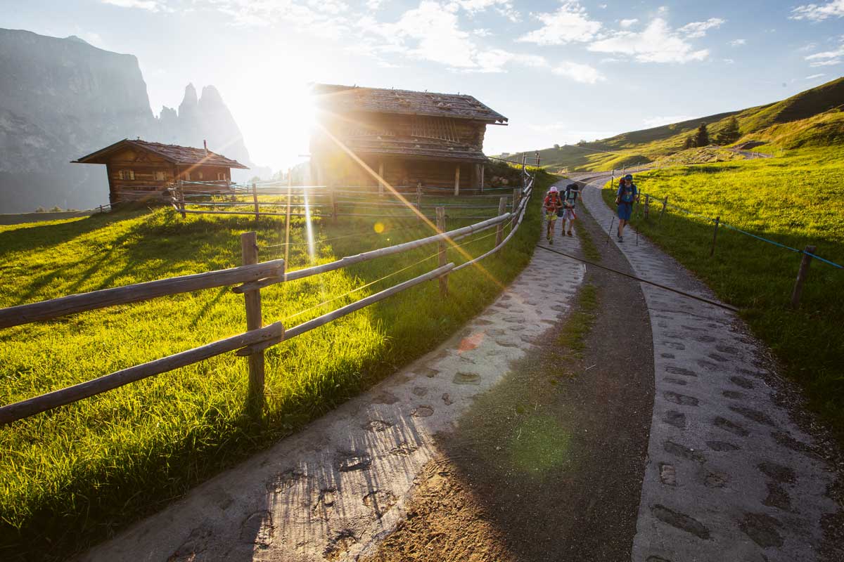 Alpensafari. Abends um sieben brechen wir auf und wandern von der Seiser Alm in Südtirol zum „Schlernhaus“. Unvergesslich!