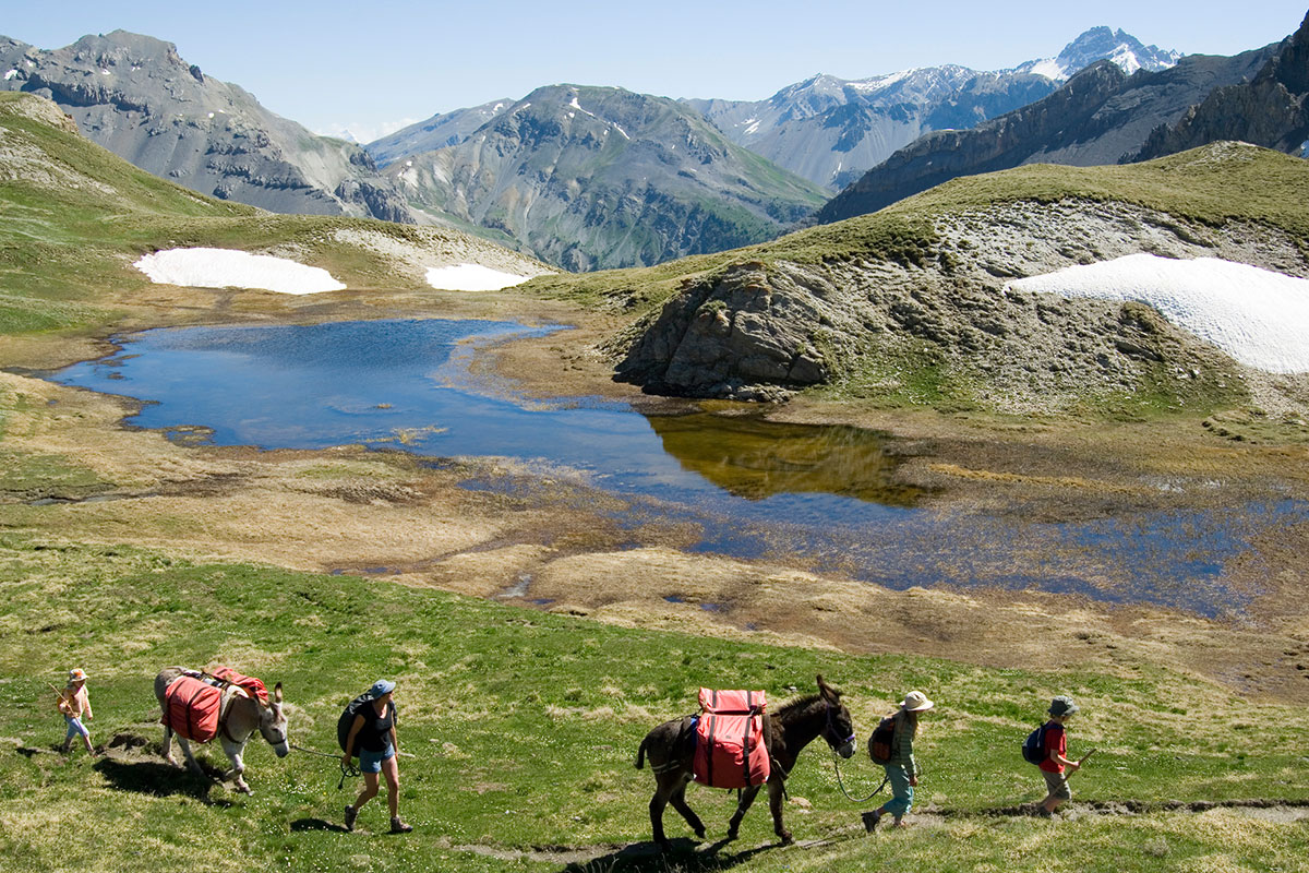 Eseltrekking in den französischen Alpen etwa mit Wandertouren Frankreich erfreuen sich großer Beliebtheit