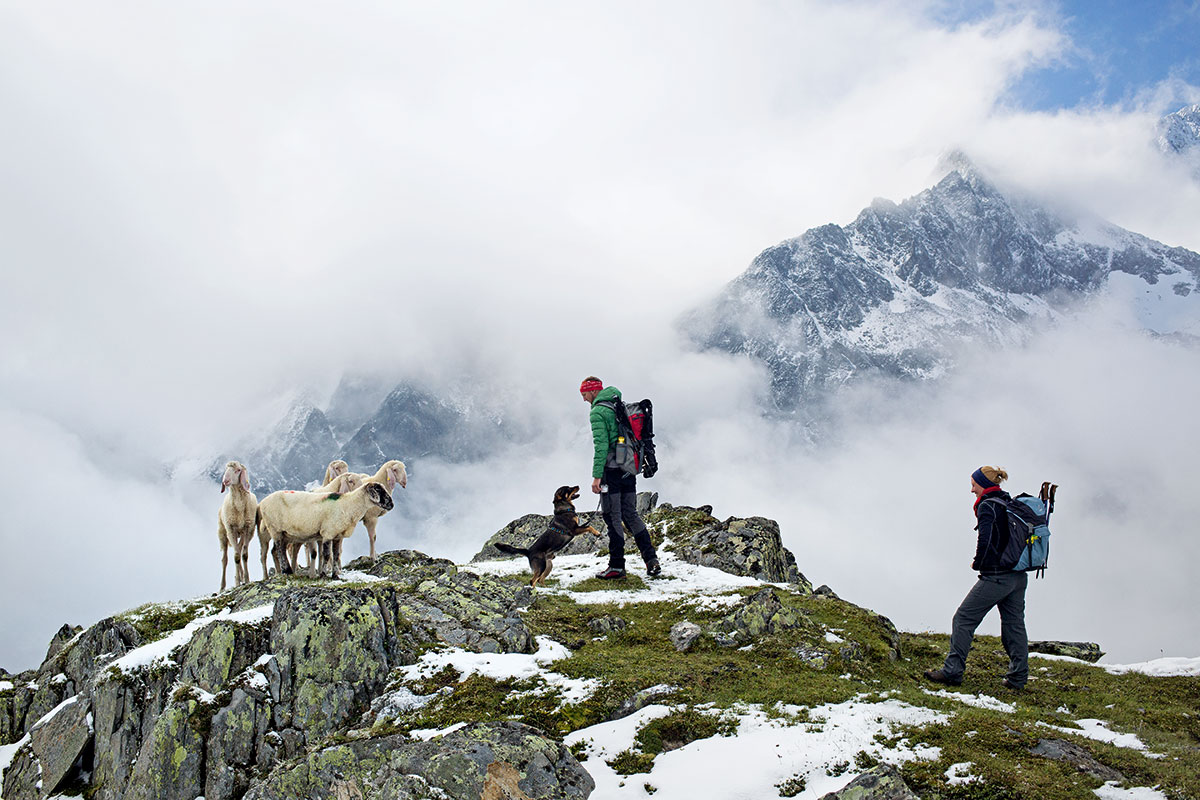 Hund & Hütte – Wandern mit Wau-Effekt. Mit dem Hund erlebst du Sachen am Berg – da kommst du vorher gar nicht drauf