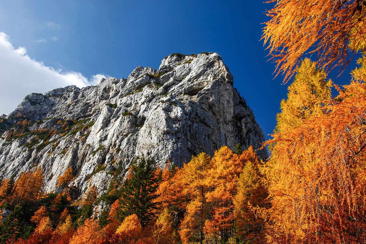 Bergsteigerdörfer – wo die Alpen noch ursprünglich sind. Zell (Sele)