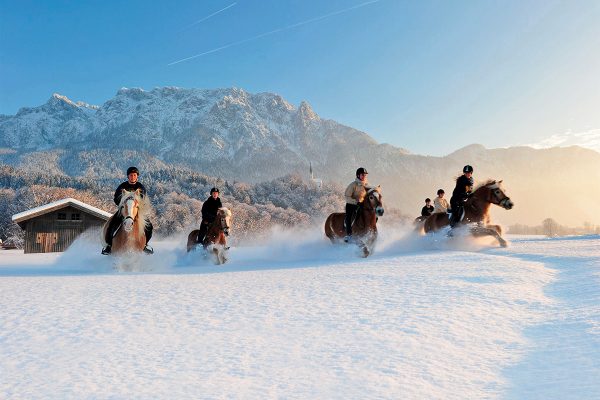 Cityguide – Das ist köstlich in Kufstein. Fohlenhof Ebbs