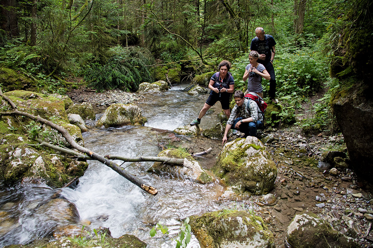 Werfenweng im Salzburger Land – Wandern mit Weitblick. Der Spazierhimmel wird gerade auf zwölf Kilometer ausgebaut. Neu dazugekommen ist der Weg entlang des Baches durch ein Waldstück