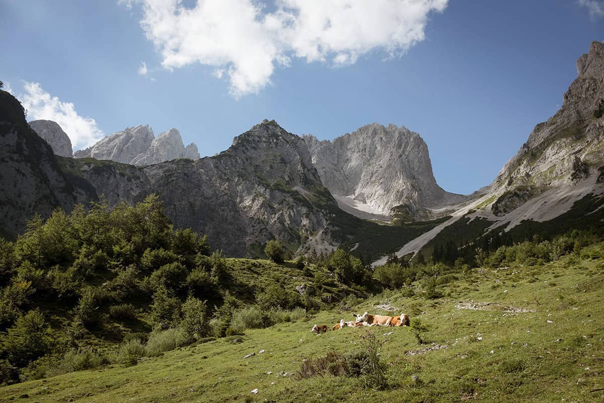 Fünf Tiroler Aktive, die ohne Bewegung in der Natur nicht leben können. Die steilen Felswände des Wilden Kaisers bieten zahlreiche spannende Kletterrouten.