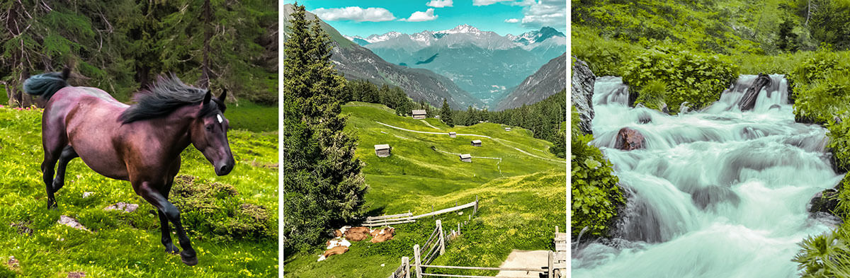 Wir gaben uns den Blöß – und zwar bei Sonnenuntergang. Osttirol Defereggental