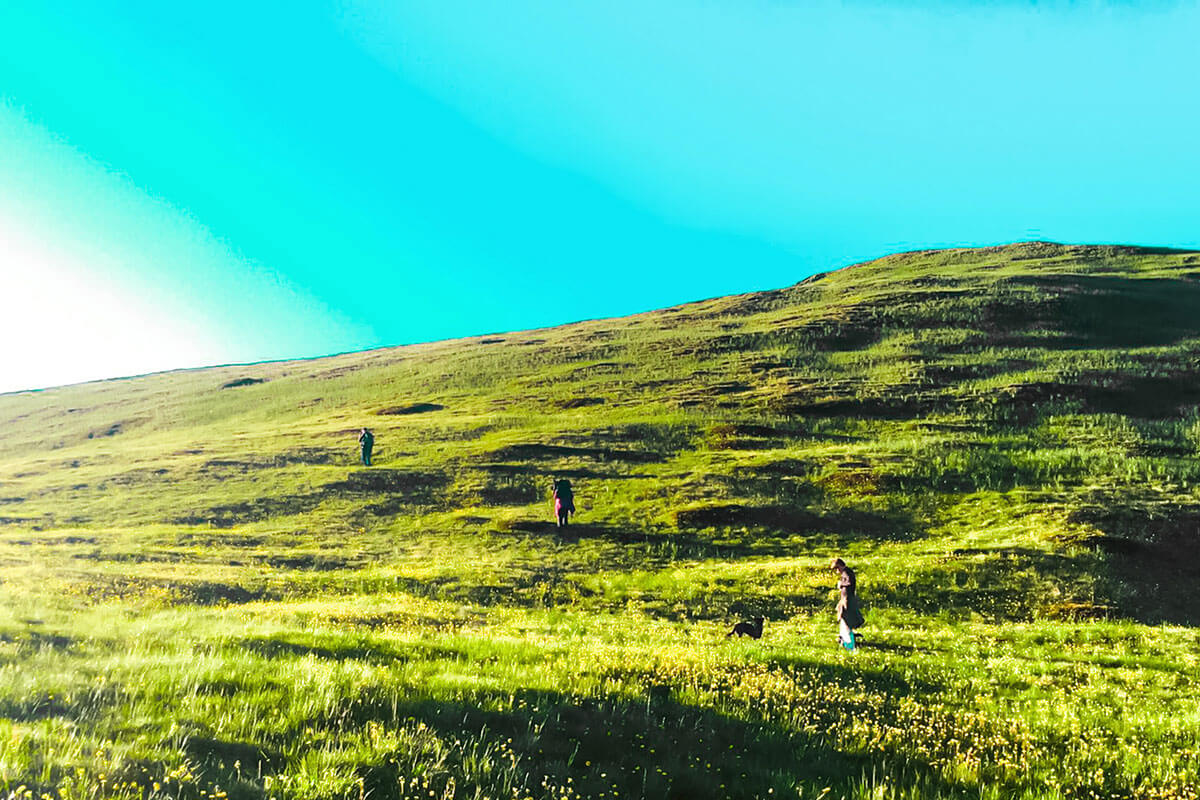 Wir gaben uns den Blöß – und zwar bei Sonnenuntergang. Osttirol Defereggental