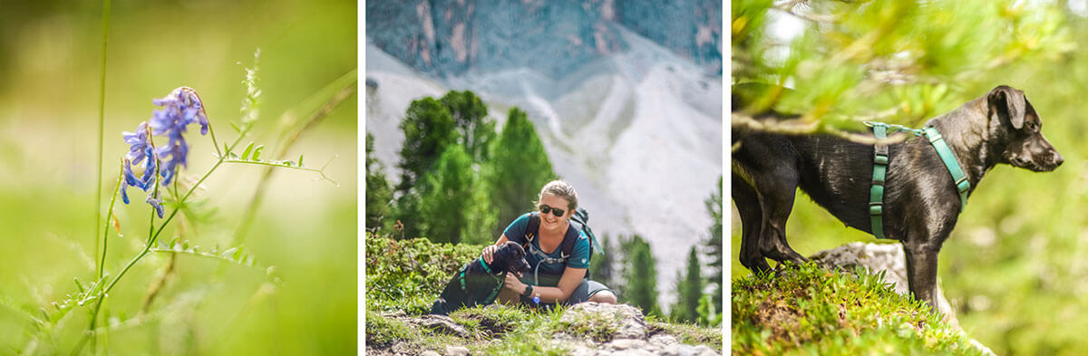 ALPS X WANDERLUST.CC / Die imposantesten Dolomitenspitzen wo gibt: Die Geisler in Südtirol