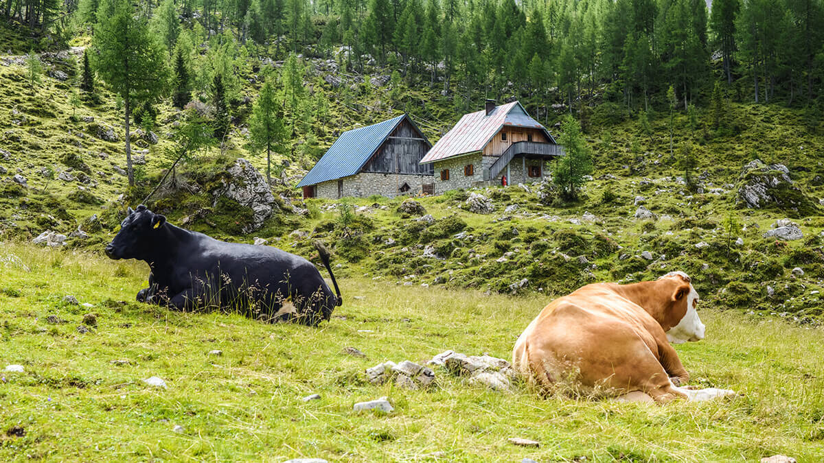 ALPS X WANDERLUST.CC / Der Wolayer See am Karnischen Höhenweg – eine grenzgeniale Wanderung