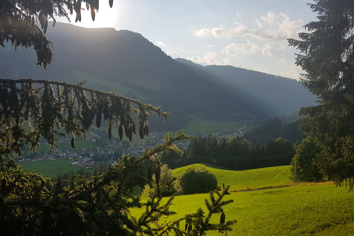  Lehrpfad 'Kraft der Bäume' in Wagrain-Kleinarl