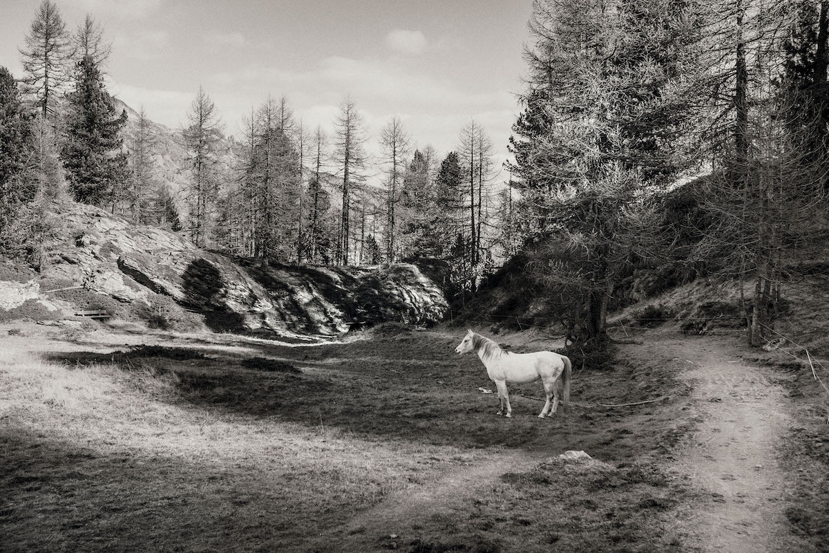 Die Fotografie von Sammy Hart trägt die Poesie des Augenblicks in sich.