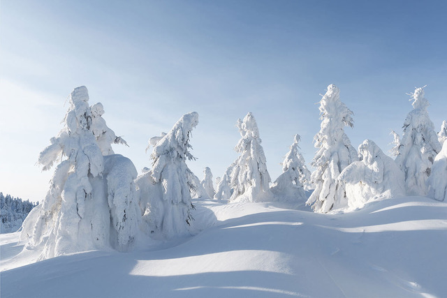 Wie entsteht Schnee?