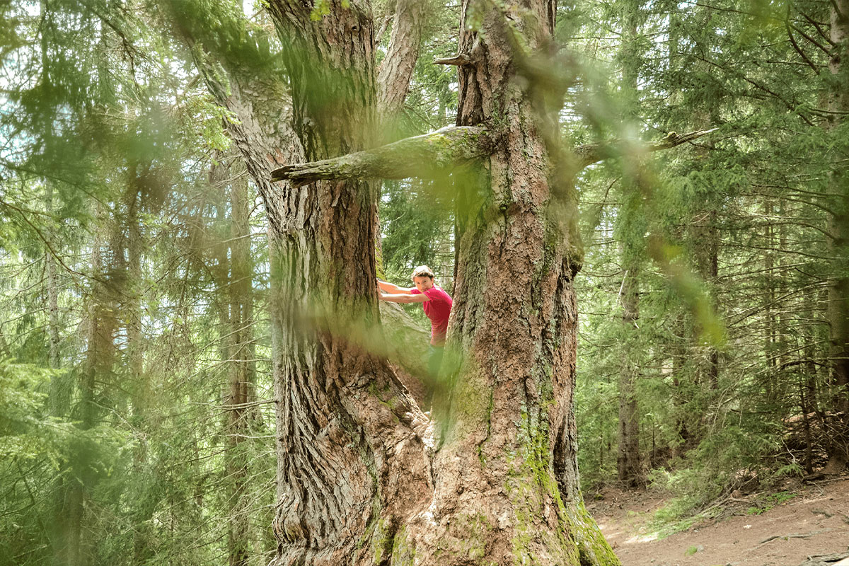 Nationalpark Hohe Tauern