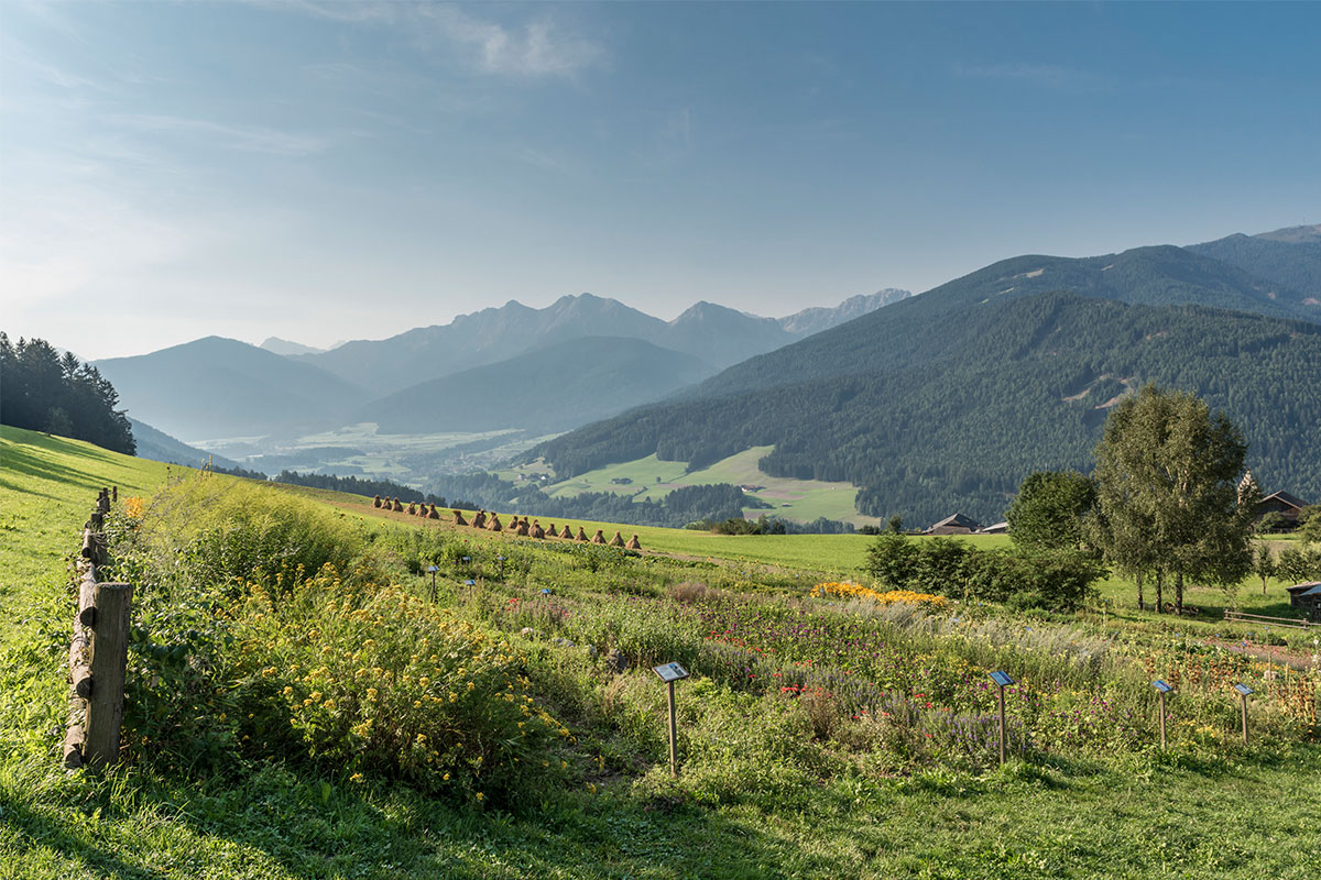 Bauerngarten im pustertal