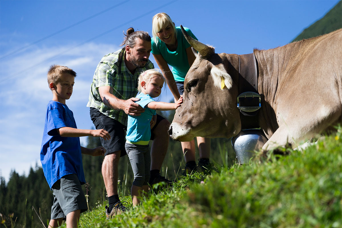 Wandern Fluchtalpe