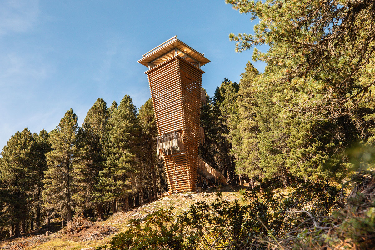 Mitten drin im Oberhauser Zirbenwald steht ein 22 Meter hoher hölzerner Beobachtungsturm. © Nationalpark Hohe Tauern/Ramona Waldner