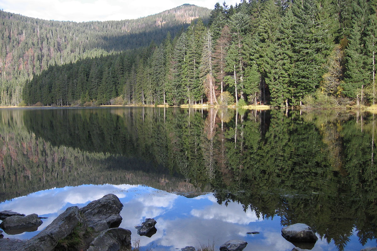 Die zweitägige Arbertour startet beim 4-Sterne-Superior-Hotel Bodenmaiser Hof und führt unter anderem am Großen Arbersee vorbei. © Bodenmaiser Hof