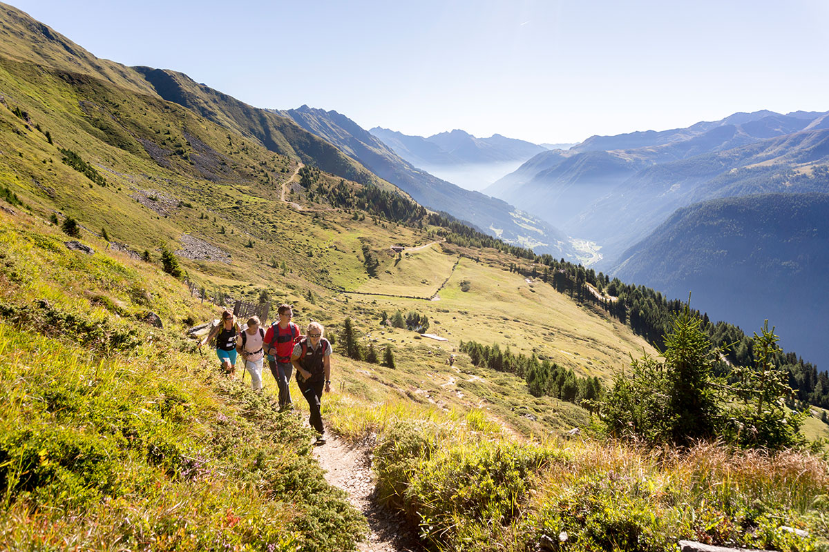 Die Nationalpark Ranger bieten den Besuchern geführte Touren an und erklären die Flora und Fauna Osttirols. Foto: © Nationalpark Hohe Tauern - Martin Lugger