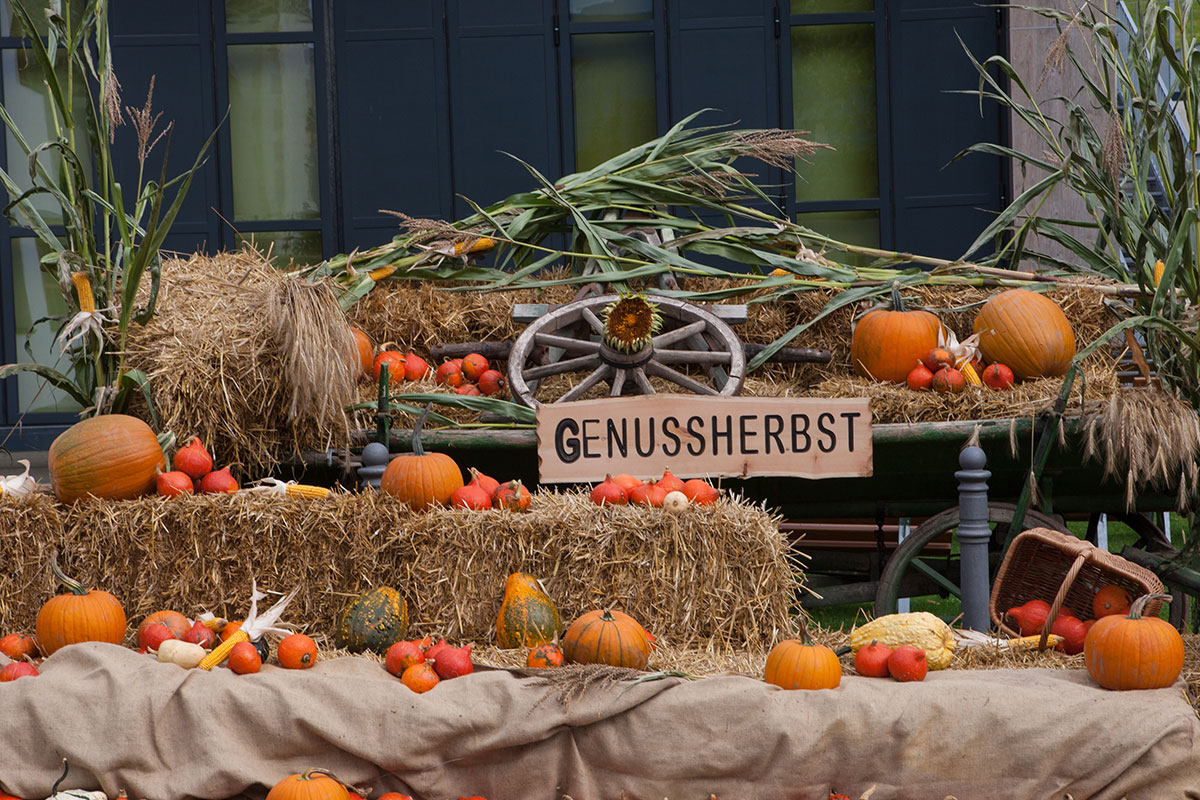 Genussherbst in der Ferienregion Serfaus-Fiss-Ladis. Foto: © Serfaus-Fiss-Ladis Marketing GmbH - Andreas Kirschner