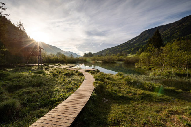 Grüne Wiesen und Wälder prägen das Landschaftsbild in Slowenien. © Foto: Mitja Sodja