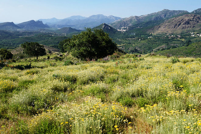 L'occitane für Natur und Mensch