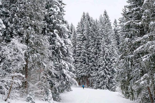 Eine anfängerfreundliche Skitour zum Kreuzeckhaus