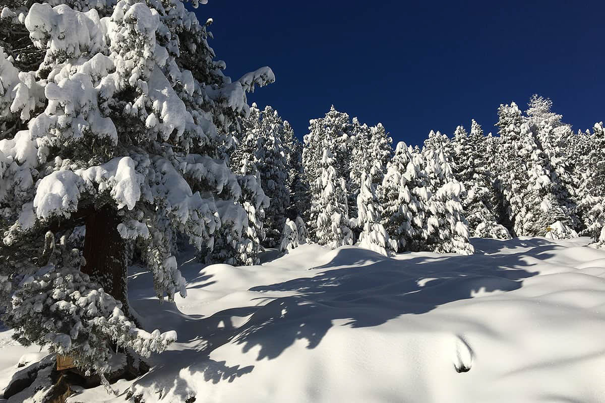 Lampsenspitze Skitour Sellrain Stubaier Alpen