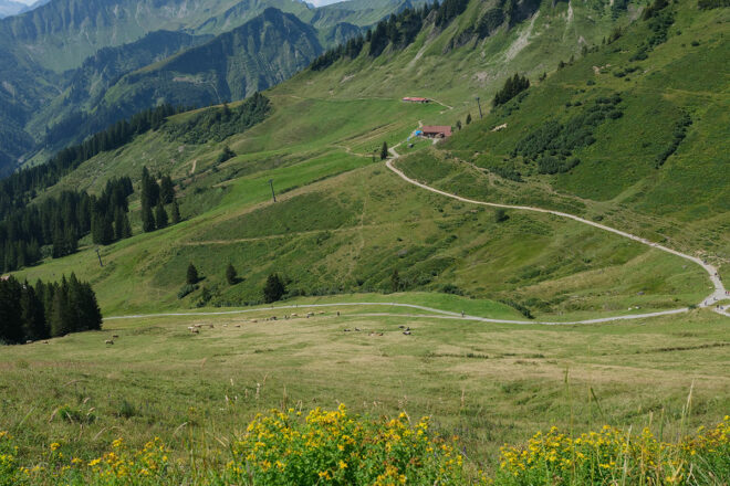 Obere Lüchlealpe