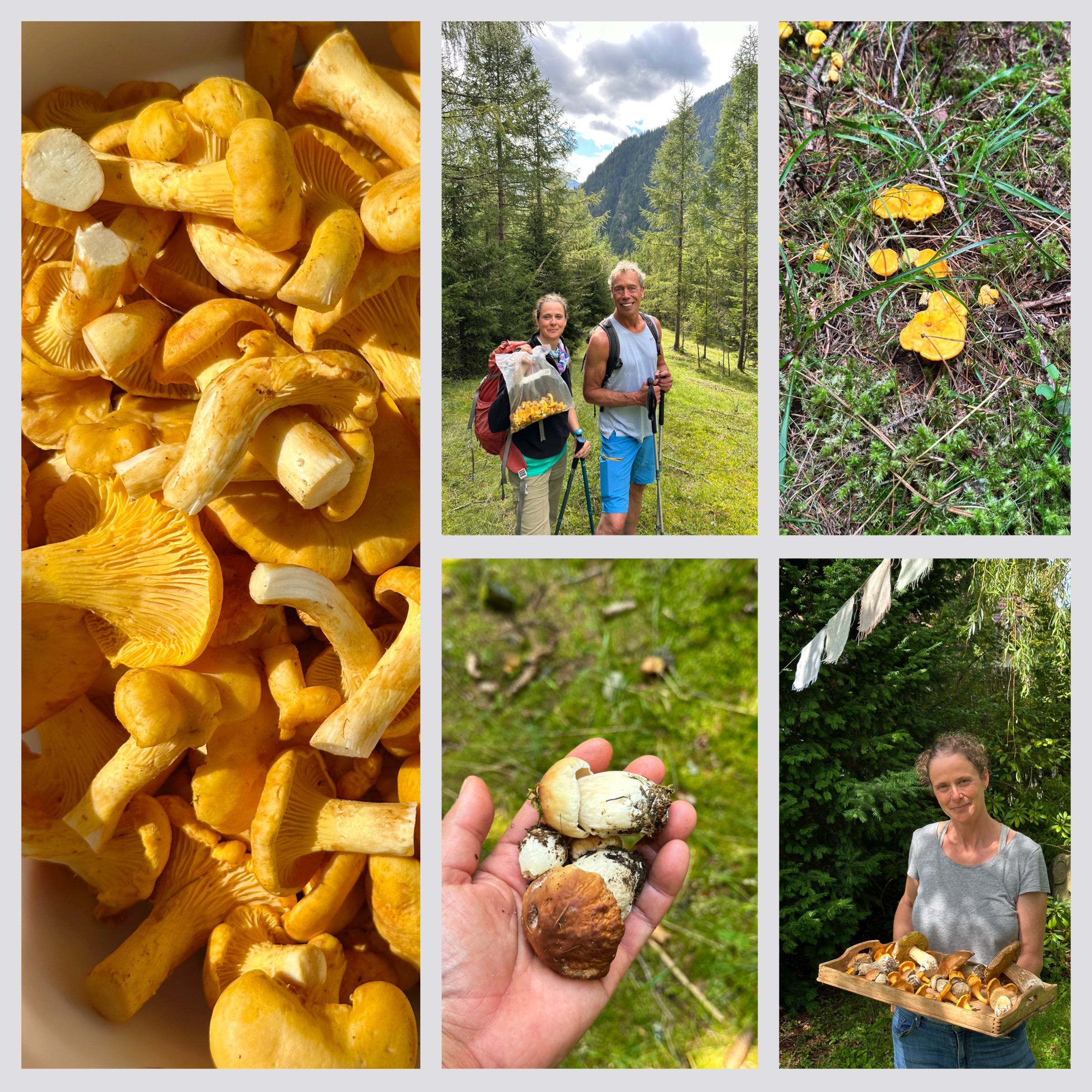 – 1 So schmeckt gleich der Spätsommer: frisch geputzte Pifferlinge aus dem Ötztal. – 2 Eine Frau sieht Gelb: Uli mit ihrer Pfifferlingsausbeute. – 3 Pfifferlinge aka Eierschwammerl aka Reherl auf dem Waldboden. – 4 Full Mushroom Experience: Steinpilze und Pfifferlinge. – 5 Geballtes Aroma: frische Steinpilze.