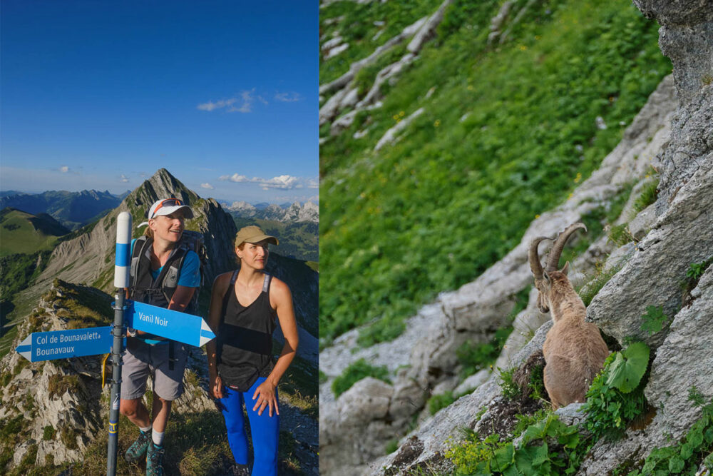 „M & M“: Wanderführerin Marlyse (l.) und ihr Gast Marion am Joch zwischen Selle Morteys und Tête de l‘Herbette. – Ohne Scheu: Ein Einzelgänger sitzt kurz unterhalb des Steigs zum Gipfel des Vanil Noir
