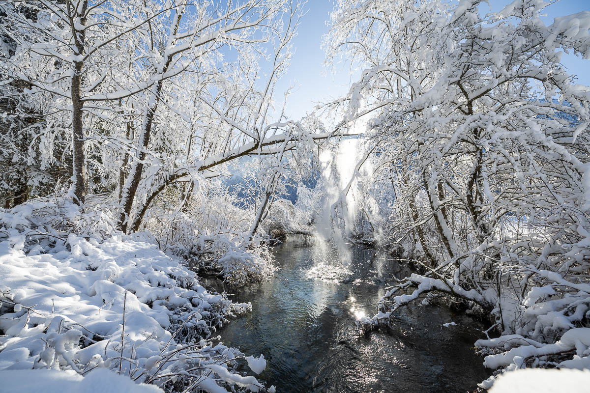 Winterlicher Bach im Naturpark Ammergauer Alpen mit verschneiten Bäumen.