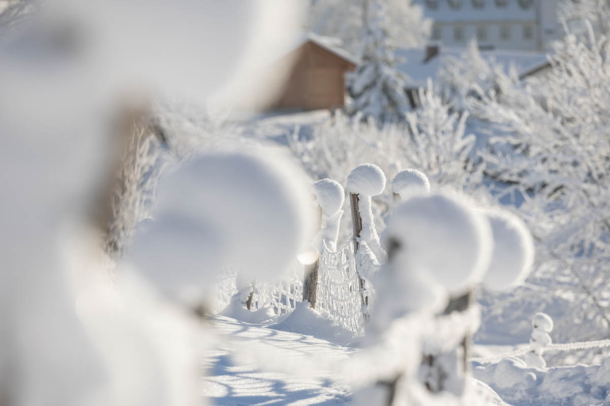 Verschneiter Weidezaun bei Oberammergau im Winter, Naturpark Ammergauer Alpen.