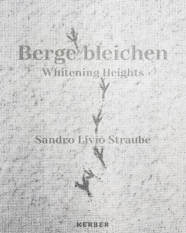 Fotobuch „Berge bleichen“ von Sandro Livio Straube über die Landschaft des Val Lumnezia in Graubünden