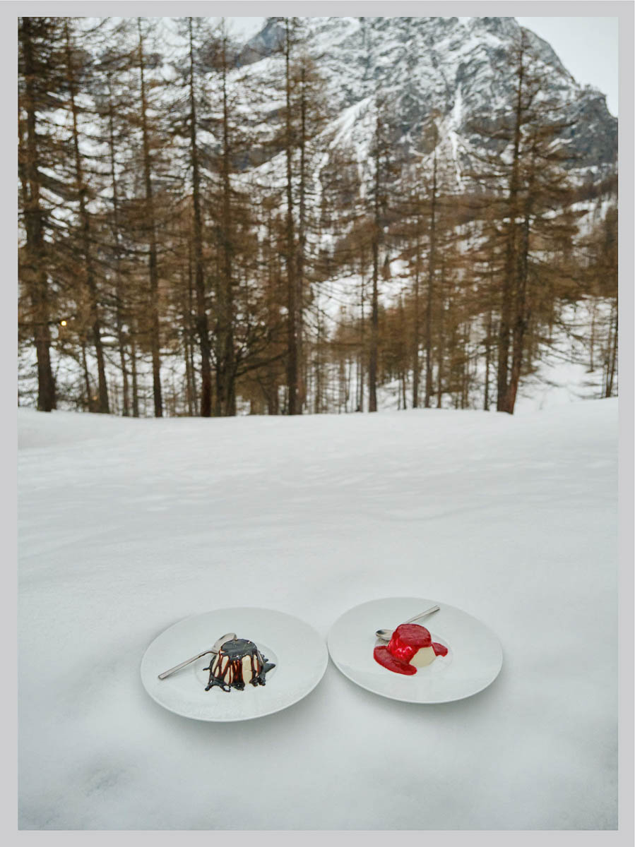 Dessertteller im Schnee vor Lärchenwald in Alpe Veglia während der Skidurchquerung