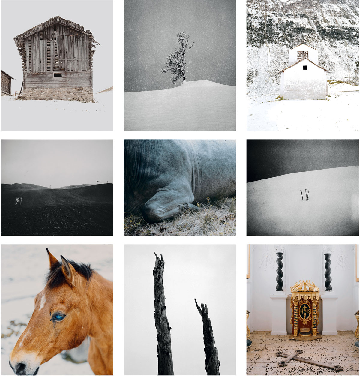 Auswahl von Fotografien aus dem Buch „Berge bleichen“ mit alpinen Landschaften und Motiven aus dem Val Lumnezia in Graubünden