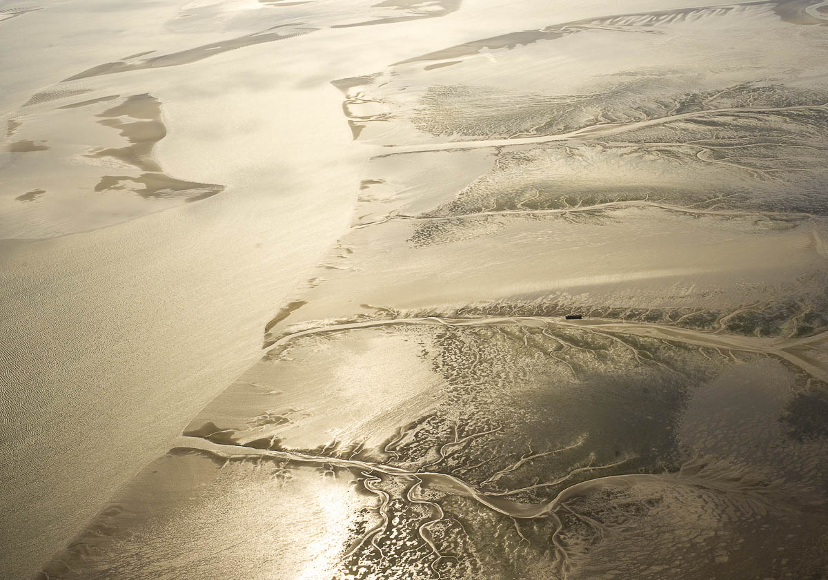 Luftaufnahme des Wattenmeers mit verzweigten Prielen und goldenen Lichtreflexen