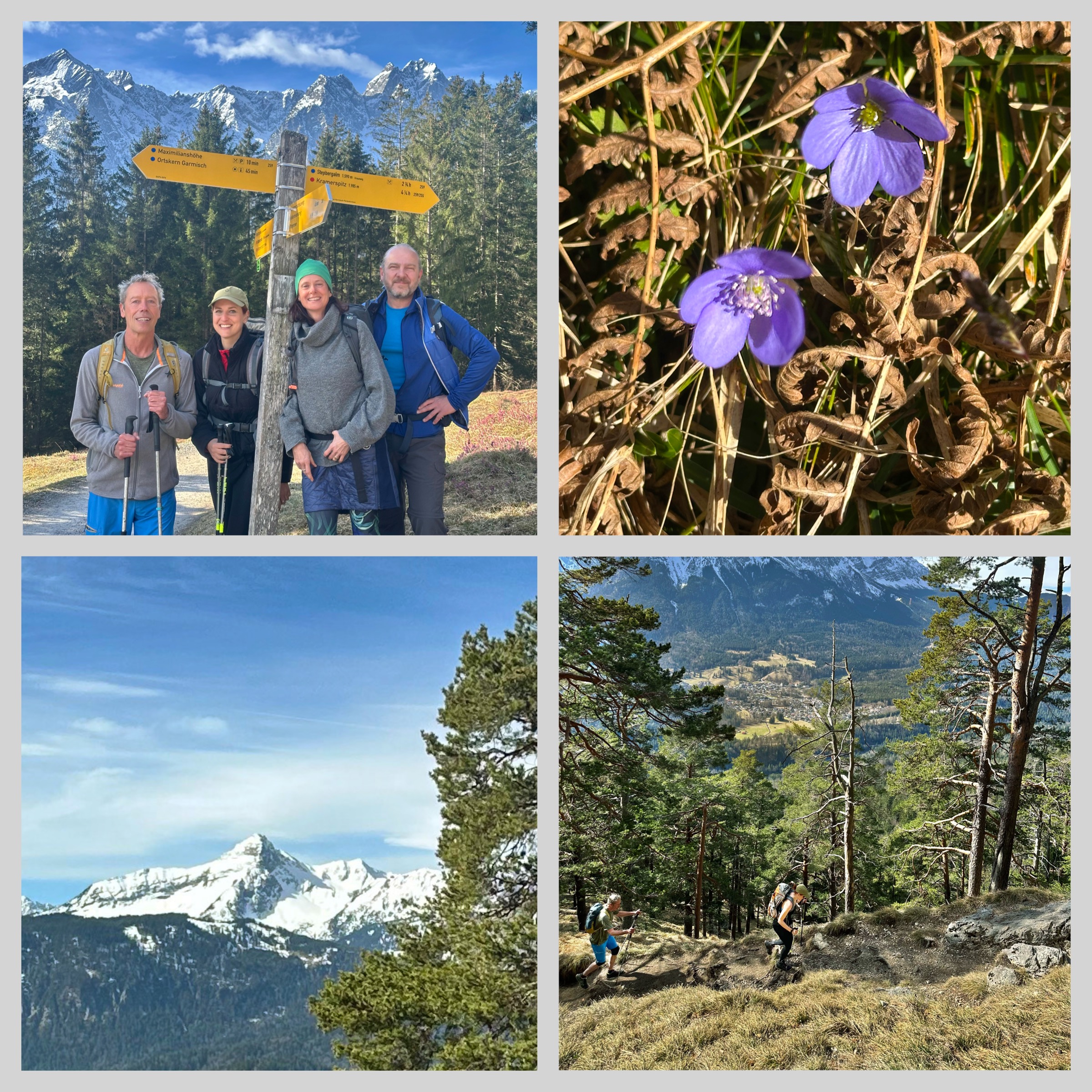 Wandergruppe am Wegweiser Richtung Stepbergalm und blaue Frühlingsblumen