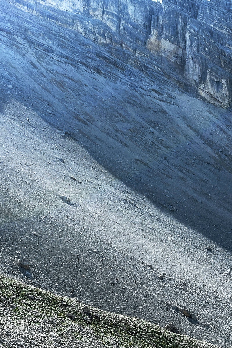Eine Gämsenherde zieht über eine steile Schutthalde im Breitgrieskar im Karwendel.