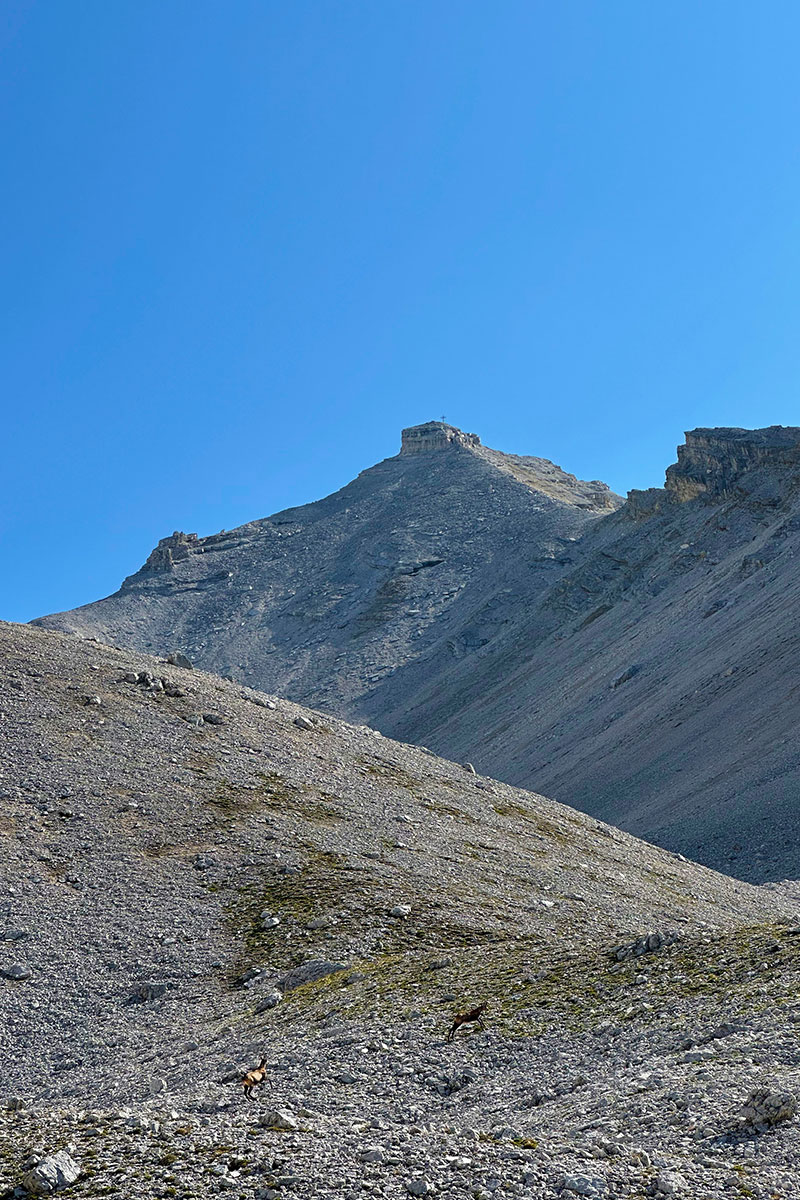 Bergsteiger am Gipfelkreuz der 2.677 Meter hohen Großen Seekarspitze im Karwendel.